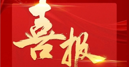 中達(dá)集團(tuán)及多家子公司上榜2024年嘉興民營企業(yè)百強榜單！